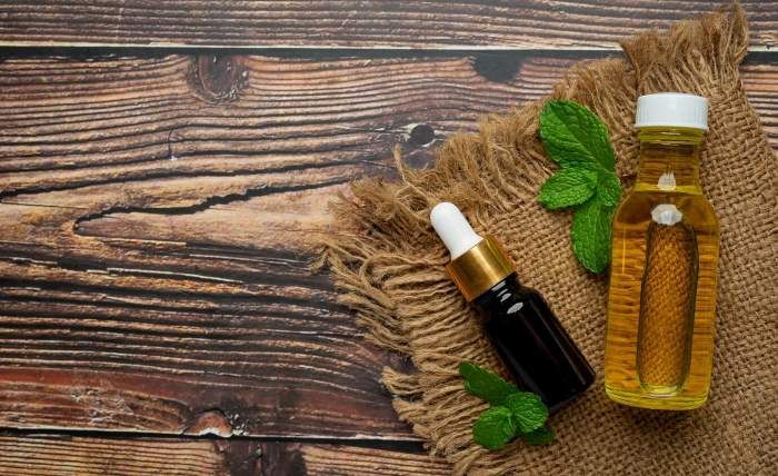 Herbs Gummies vs. Herbs Oil Which One Should You Choose