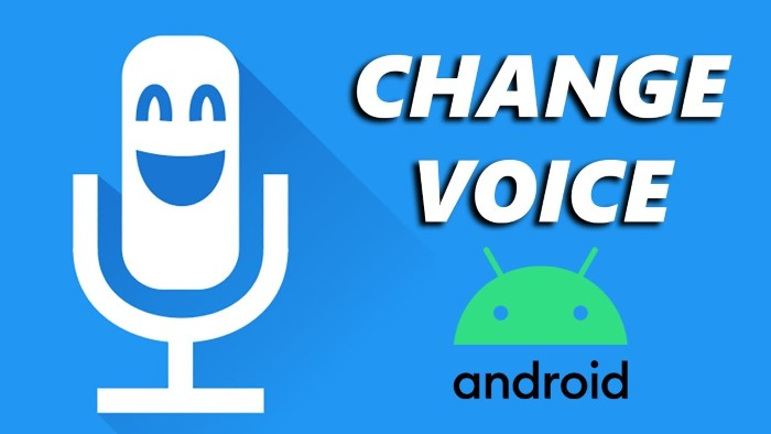 Unique Features of Aavot Voice Changer