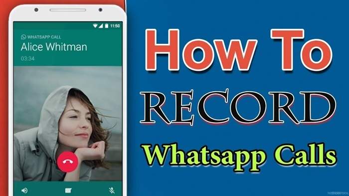 How to Connect with Aavot on WhatsApp